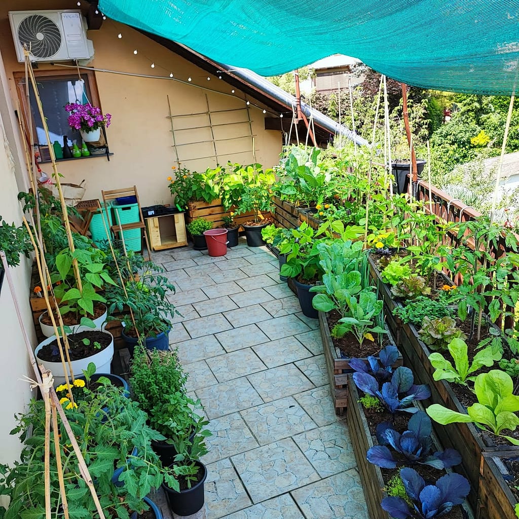 DIY urbani balkon s povišenim gredicama za uzgoj povrća - počeci Green Valley Outdoor Living