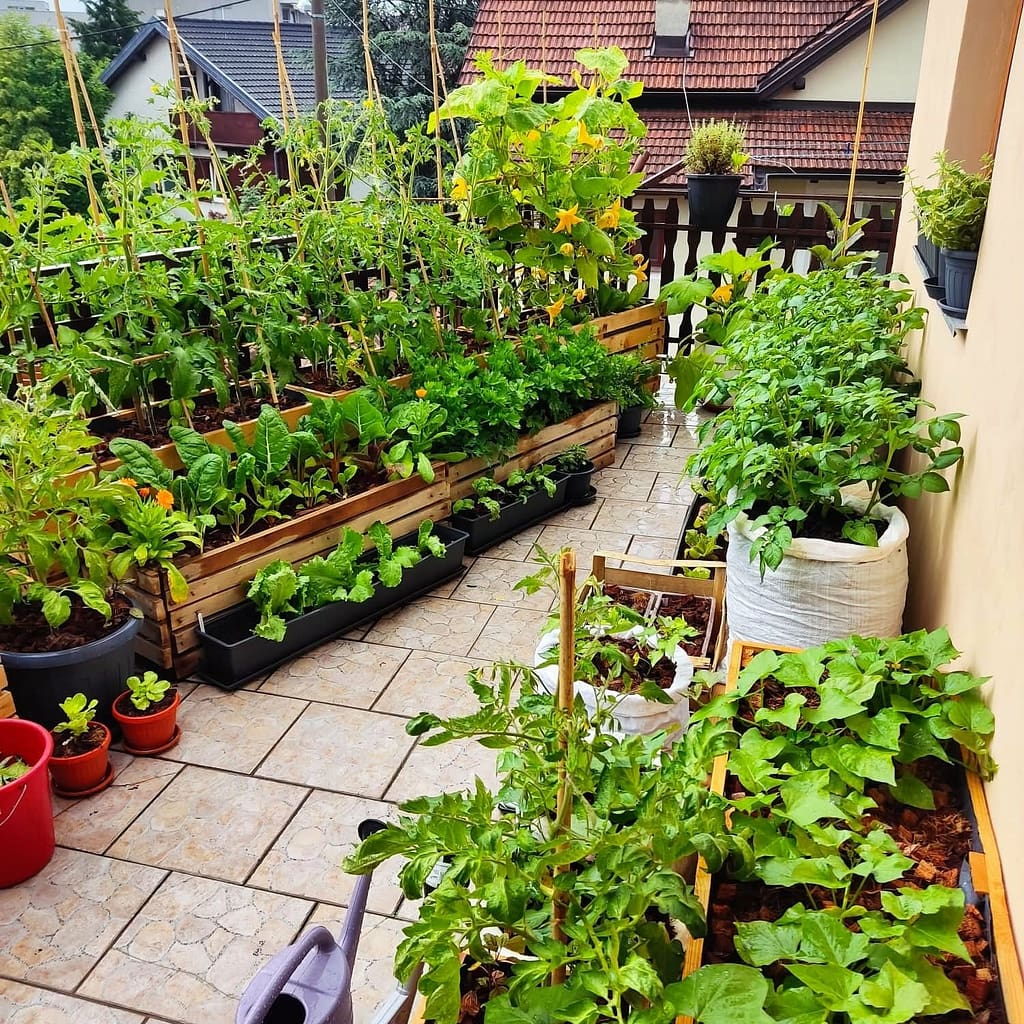 DIY terasa s visokim gredicama za uzgoj povrća - početak Green Valley Outdoor Living