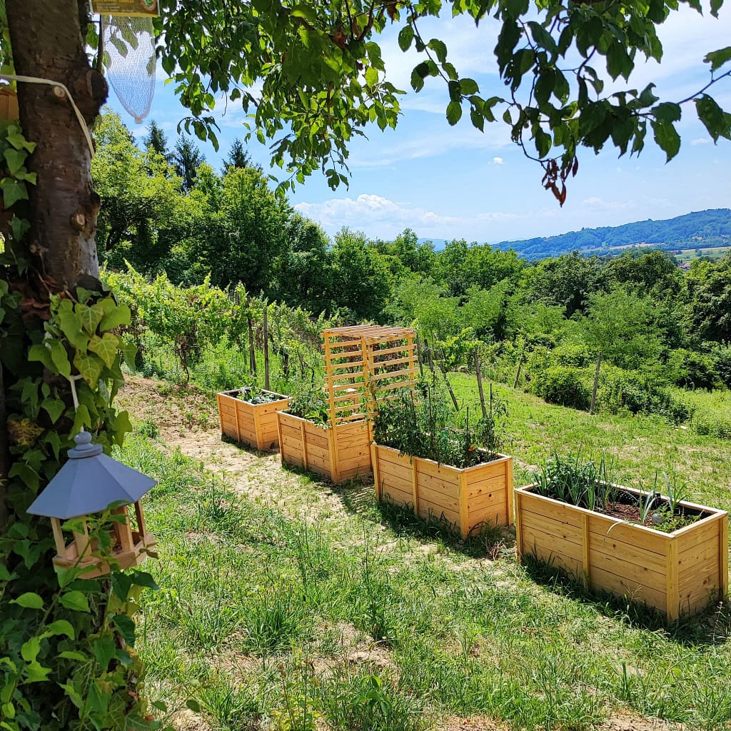 Vrt sa povišenim gredicama i drvenom pergolom u prirodi - prvi projekti
